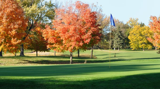 minnesota fall foliage