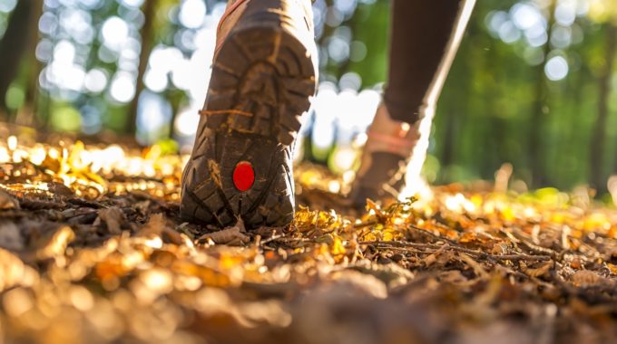 Gorgeous Fall Hikes