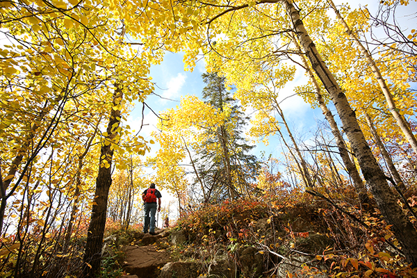 Superior Hiking Trail / Photo Credit Alyssa Hei