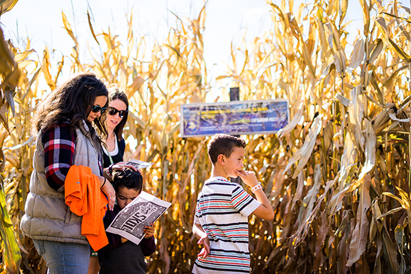 Twin Cities Harvest Festival and Maze